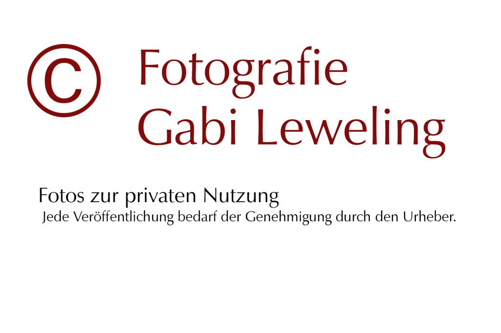 Leweling_priv-nutzung